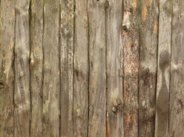 Rugged brown planks with spots and lumps across the surface.